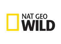 Nat Geo Wild прямой эфир